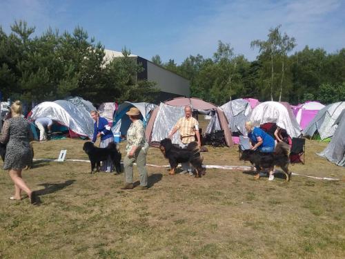 Rahvuslik Koeranäitus Luigel 18.06.2023, Kohtunik Anna Bogucka (Poola), GangriNorbu Om Arya, Tšempion klass, SP, SK, I koht, PE3