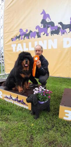 Rahvusvaheline näitus Tallinn Dogshow1 Luigel 09.09.2023, Kohtunik Valentinas Stiklus (Leedu), SP, 1KOHT, SK, PE2, RES CACIB