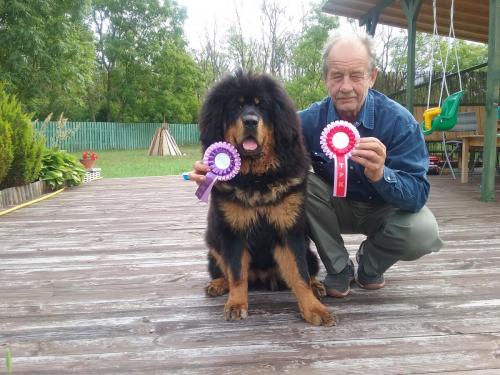 GangriNorbu Om Arya, Haapsalu Rahvuslik Koertenäitus 25.08.2018, kohtunik: Jasna Matejcic Croatia, kutsikaklass I koht, EAH