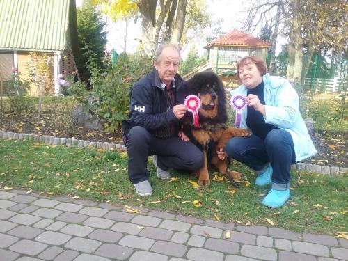 GangriNorbu Om Arya, Rakvere Rahvuslik Koertenäitus 20.10.2018, Kohtunik: Sonia Kelveri Philippou (Cypros), Kutsikaklass, I koht EAH, TPK