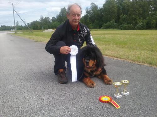 Rahvusvaheline Koertenäitus Pärnu CACIB Show 06.07.2019Kohtunik Refet Hadzic Bosnia HertsegovinaNoorte klassGangriNorbu Om Arya 1 koht , SP, SK,TP,BOB,CACIB 