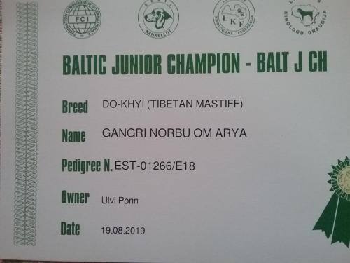 BALTI JUUNIOR TŠEMPION