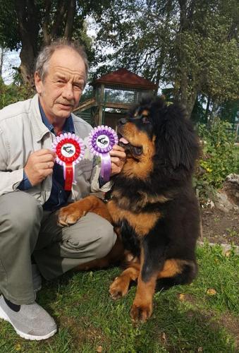 Gangri Norbu Om Arya, Tallinna International Dog Show, 22.09.2018 Saku Suurhall, Kohtunik  Sebastian Harnik (Poola), Kutsikaklass I koht, EAH, TPK