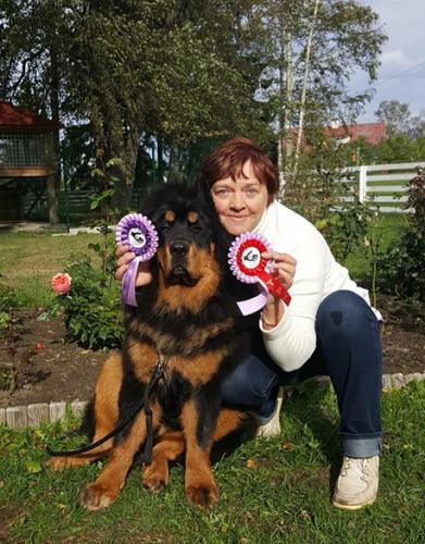 Gangri Norbu Om Arya, Tallinna International Dog Show, 22.09.2018 Saku Suurhall, Kohtunik  Sebastian Harnik (Poola), Kutsikaklass I koht, EAH, TPK