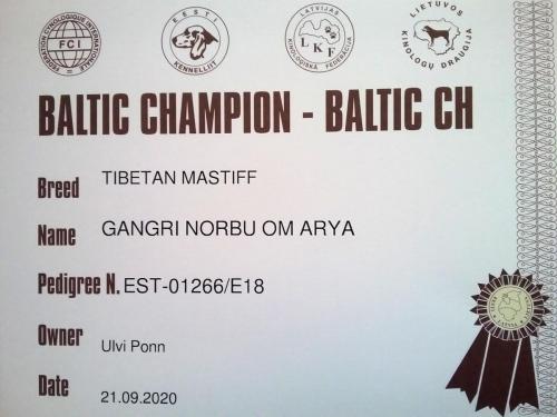 BALTIC CHAMPION