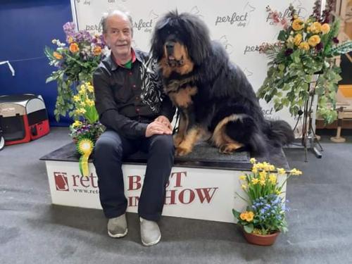 Läti Rahvuslik Kõikide Tõugude NäitusReto Trophy 2019, 21.04.2019. Kohtunik Anna Rogowska (Poola), Juunior klassGangri Norbu Om Arya 1 koht, Suurepärane, Junior CAC