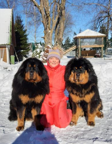 Gangri Norbu kennel