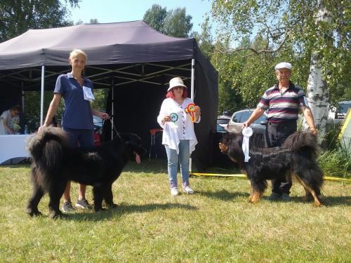 Rahvusvaheline koertenäitus Pärnus,10.07.2021, kohtunik Maria Amelia Taborda Portugal, GangriNorbu Om Arya, tšempion klass SP, SK, 1 koht, CACIB, TP