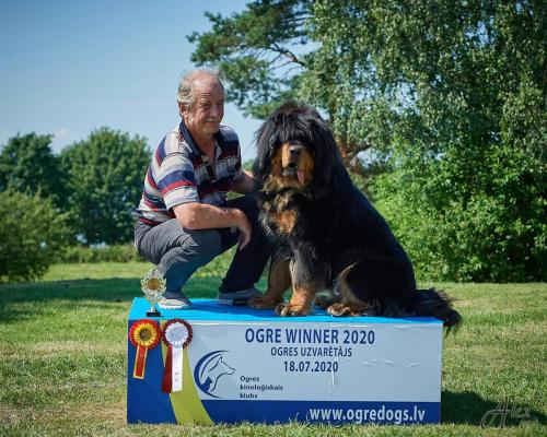 Rahvuslik Koertenäitus Ogre Winner 18.07.2020, Kohtunik Viktoras Avtusko (Leedu), GangriNorbu Om Arya Avaklass SP, SK, TP, I koht, PE 1, CAC, BOB, W