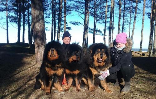 Gangri Norbu kennel